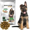 APL Biofeed Junior Large Giant Jagnięcina 15kg