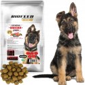 APL Biofeed Junior Large Giant Wołowina 15kg