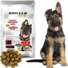 APL Biofeed Junior Large Giant Wołowina 15kg