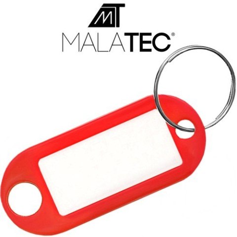 Zestaw brelok/identyfikatory do kluczy 100 szt Zestaw brelok/identyfikatory do kluczy 100 szt