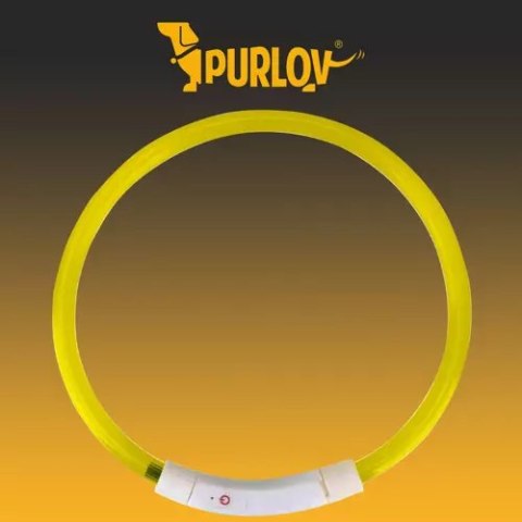 Obroża świecąca LED- regulowana Purlov 21631 Obroża świecąca LED- regulowana Purlov 21631