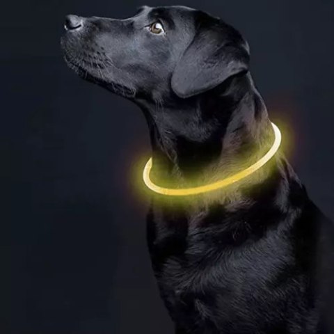Obroża świecąca LED- regulowana Purlov 21631 Obroża świecąca LED- regulowana Purlov 21631