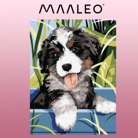 Malowanie po numerach 40x30cm- pies Maaleo 22780 Malowanie po numerach 40x30cm- pies Maaleo 22780