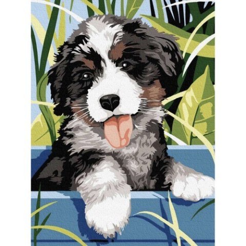 Malowanie po numerach 40x30cm- pies Maaleo 22780 Malowanie po numerach 40x30cm- pies Maaleo 22780