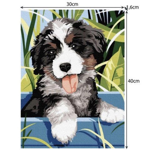 Malowanie po numerach 40x30cm- pies Maaleo 22780 Malowanie po numerach 40x30cm- pies Maaleo 22780