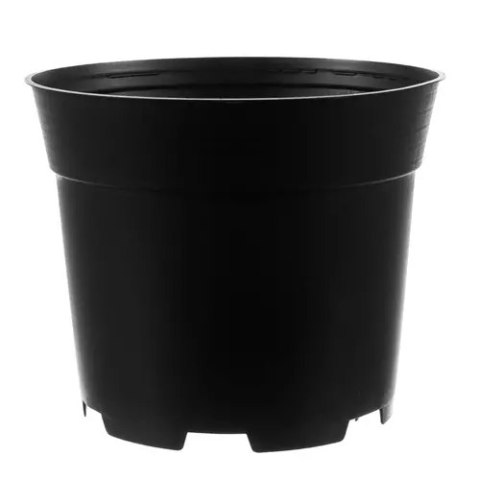 Doniczka produkcyjna - zestaw 200szt Doniczka produkcyjna - zestaw 200szt